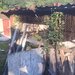 Calimanesti, Valcea.